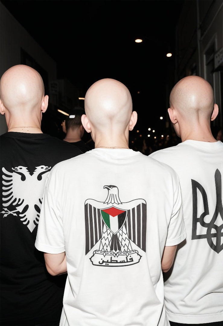 PALESTINE ALBANIA UKRAINE T SHIRT